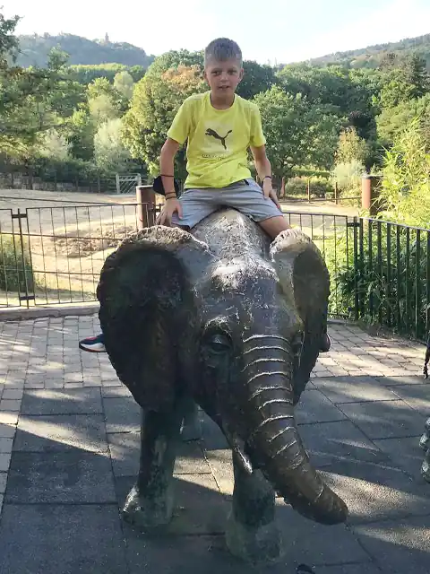 Учебно-тренировочные сборы в Германии (Königstein) - Zoo