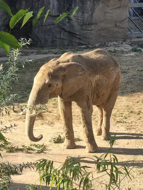Учебно-тренировочные сборы в Германии (Königstein) - Zoo