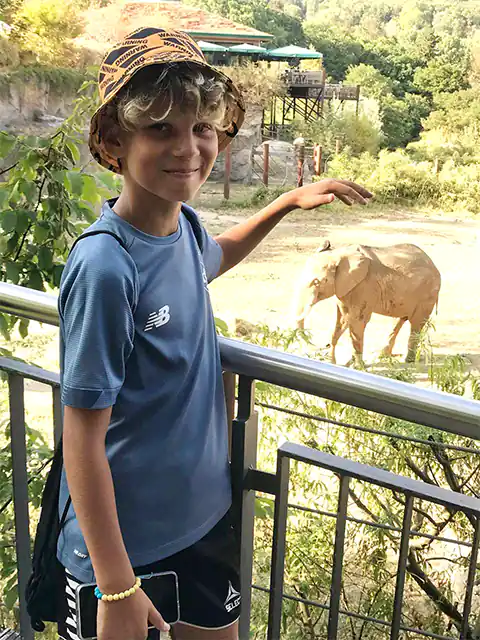 Учебно-тренировочные сборы в Германии (Königstein) - Zoo